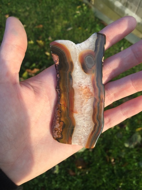 psychedelicsoundwaves:Found an agate that looks like bacon!Mmmm, siliceous