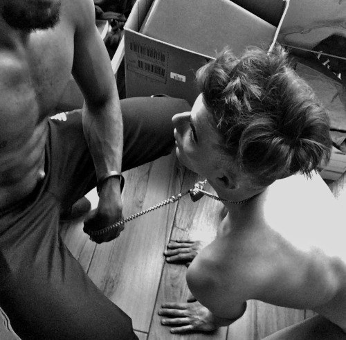 gayslavery:  I’m going to the gym, faggot. Make sure to have all this shit put