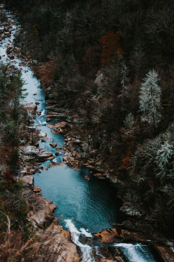 thrilled-d: betomad:  Tallulah Falls, Georgia.