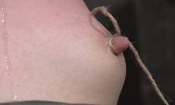 nipple bondage and play