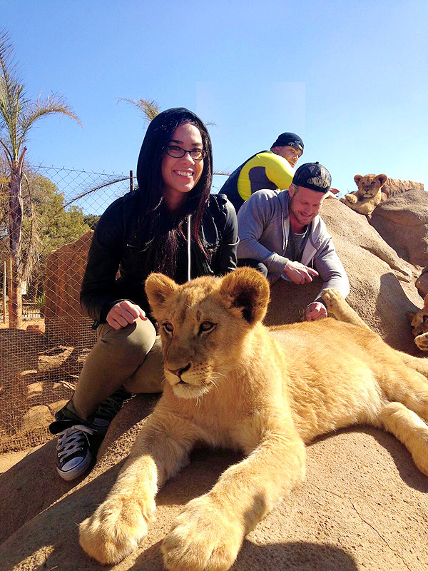 ajleeappreciation:  A.J. ‏ WWEAJLee 13m Precious lion cub. Still terrifying. We