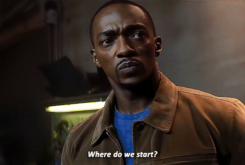 mackievanstan:Captain America: The Winter Soldier // The Falcon and the Winter Soldier