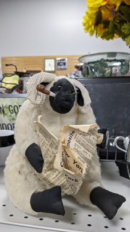 Porn shiftythrifting:  Whatever in heck this lamb photos