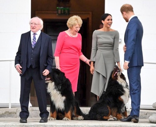 youlovelucie: theroyalweekly:  Harry and Meghan also got to meet the “First Dogs” of Ire