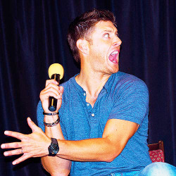 superwolfed:  5/50 Pictures of Jensen Ackles