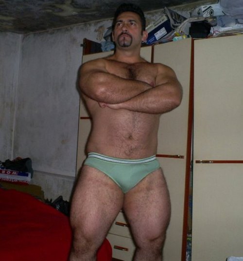 NH Muscle Bear