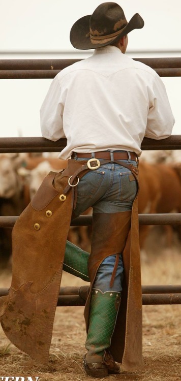 lifeofacowboy: For more cowpokes and cowboys, visit www.lifeofacowboy.com