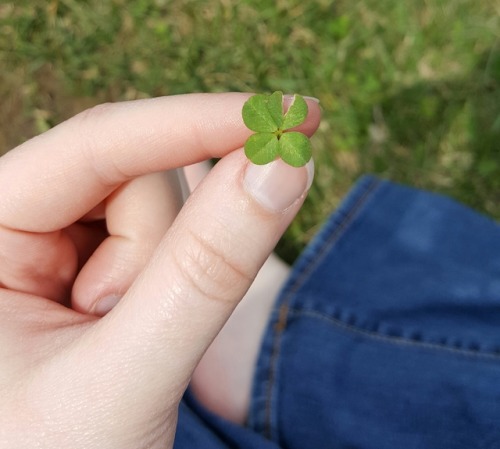 sometimes i find four leaf clovers