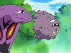 cacnea:  Arbok and Weezing officially leave Team Rocket after 280 episodes… 