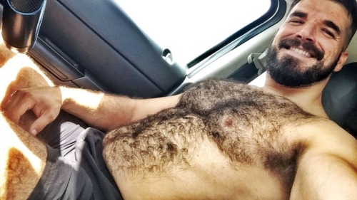 hairytreasurechests: If you also like hairy and older men who are well hung and hang well please vis