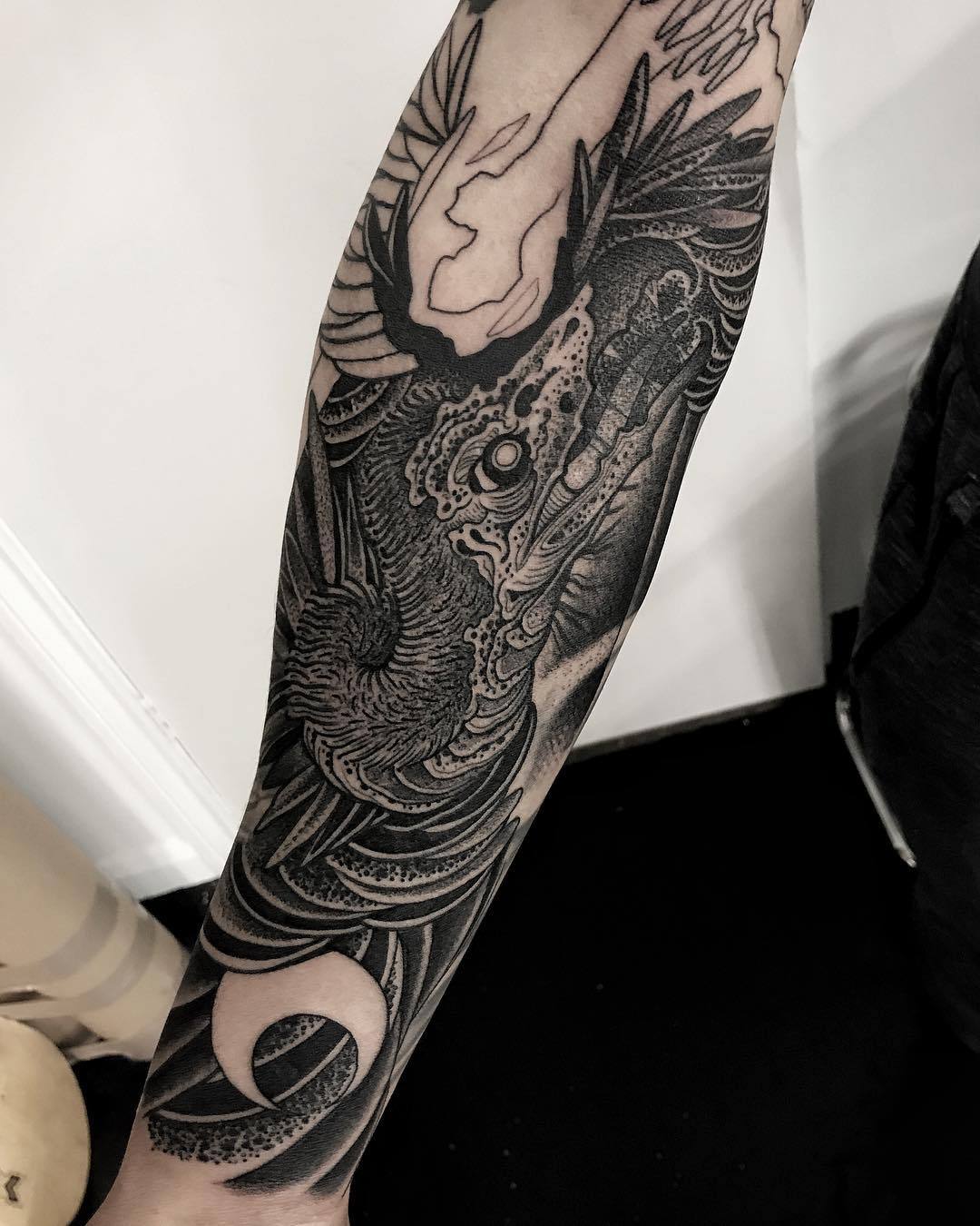 thecrocodile666: @thecrocodile666 🐊 http://ift.tt/2xfZhQv