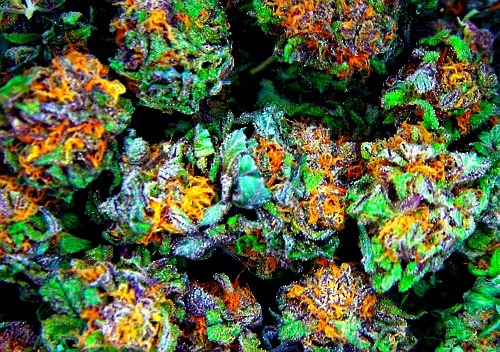 hashcompany:  hashcompany.tumblr.com