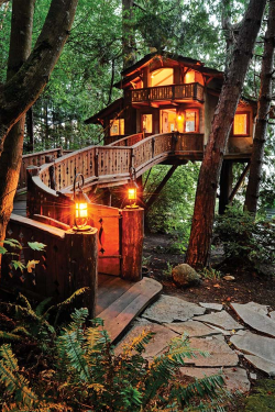 plasmatics:  I Love Tree Houses by Alli Worthington (Website) 