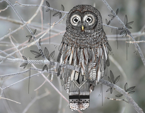 ILLUSTRATOR DOODLES TRIBAL COSTUMES OVER ANIMAL PHOTOGRAPHS