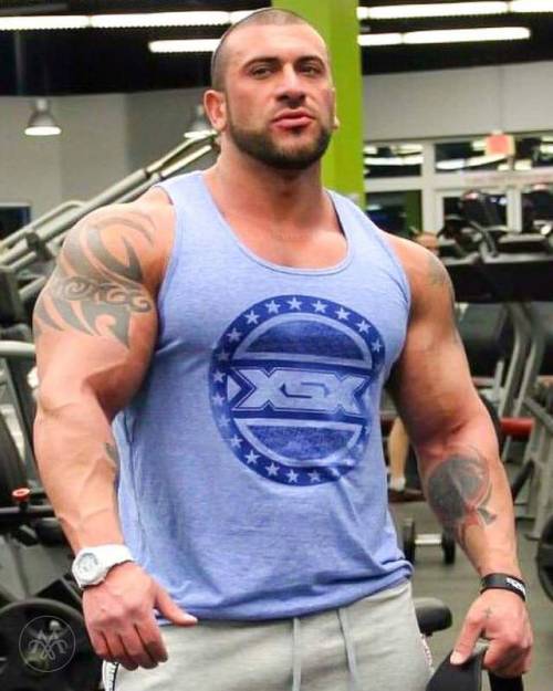 myfavoritemusclemen:David Murad