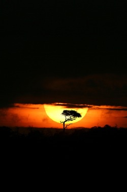 0ce4n-g0d:  Africa by Mario Moreno on 500px