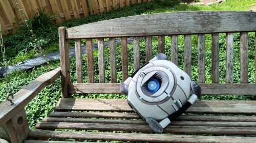 MY MORON ARRIVED