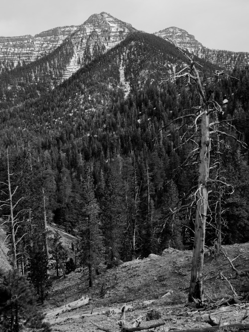 Lee Peak (I believe) in the Spring Mountains.