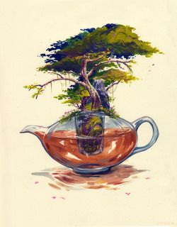greiison:  Blooming tea is one of my favourite things in the world, so here is a tiny picture about it. 