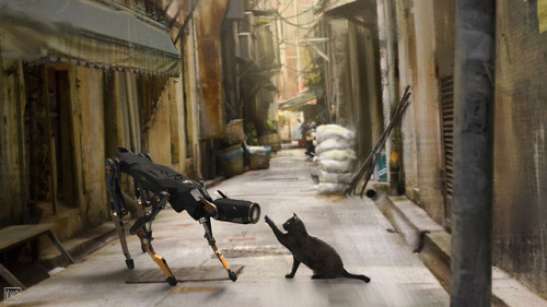 native-voyage:niconavarro:Woops! Who are you?Robot cat meets real cat
