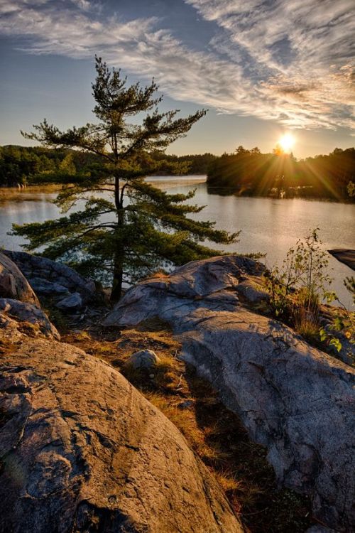 earthlyenchantment:(via Tree Over George Lake - a lone tree on a rock cliff overlooking George Lake at Killarney Provincial Park, Ontario, Canada. Photo credit: Peter Law… | Pinterest) 