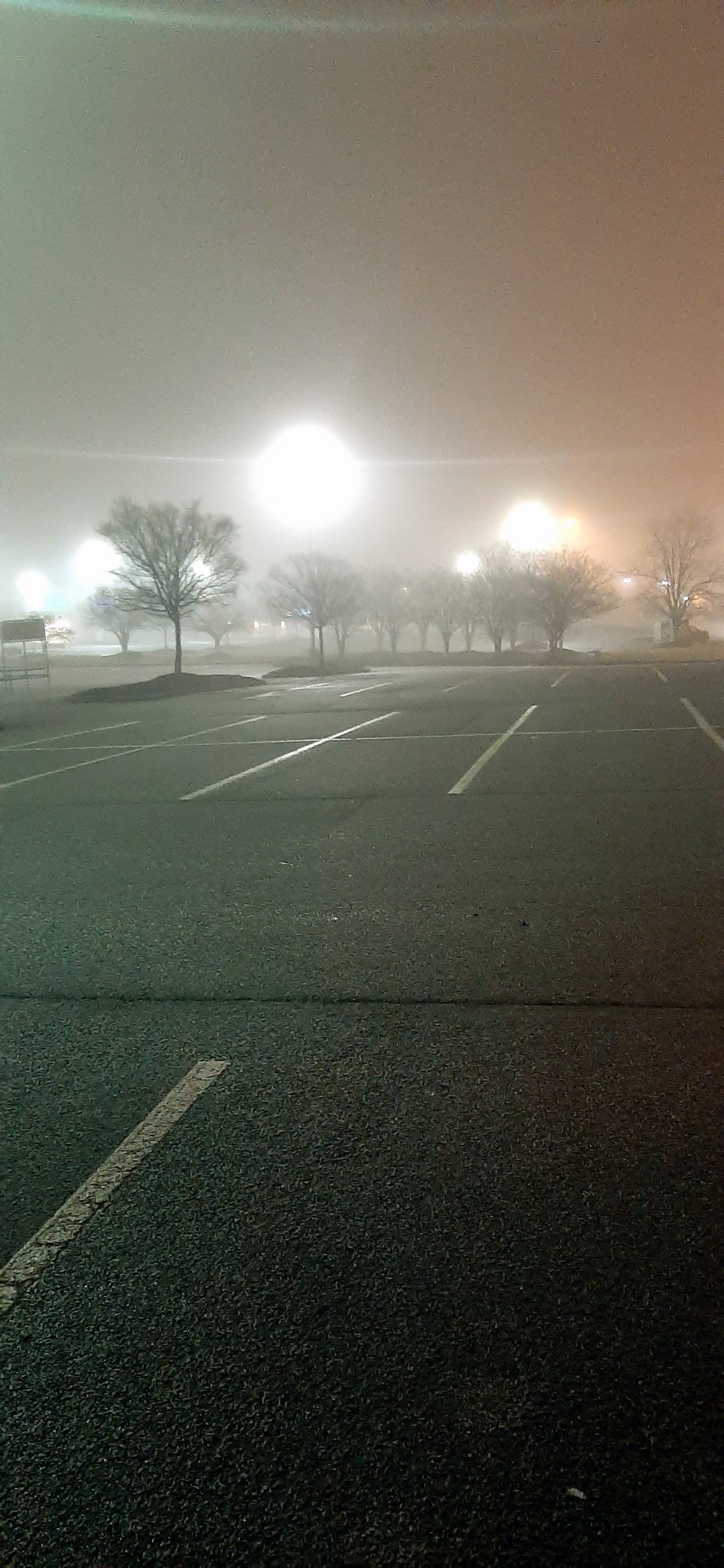 I Just Got Out Of Work And Its Super Foggy Out. Thought These Looked Neat!