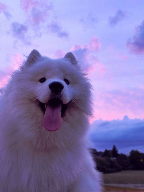 ~ ~