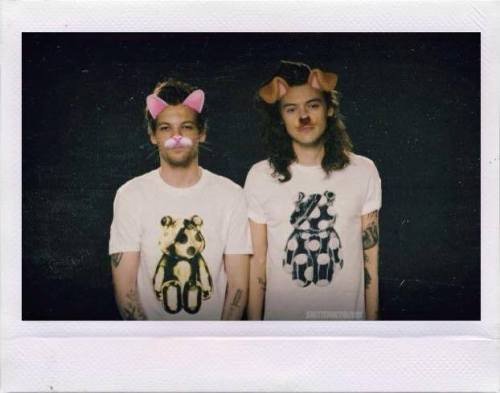smittenwithlouis:   *✧･ﾟ:* meow &amp; woof *:･ﾟ✧*