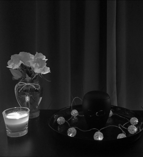 20th May 2002 ~ For My Beloved Cat Scully