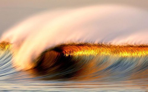 asurferdreams:  Surfing posts