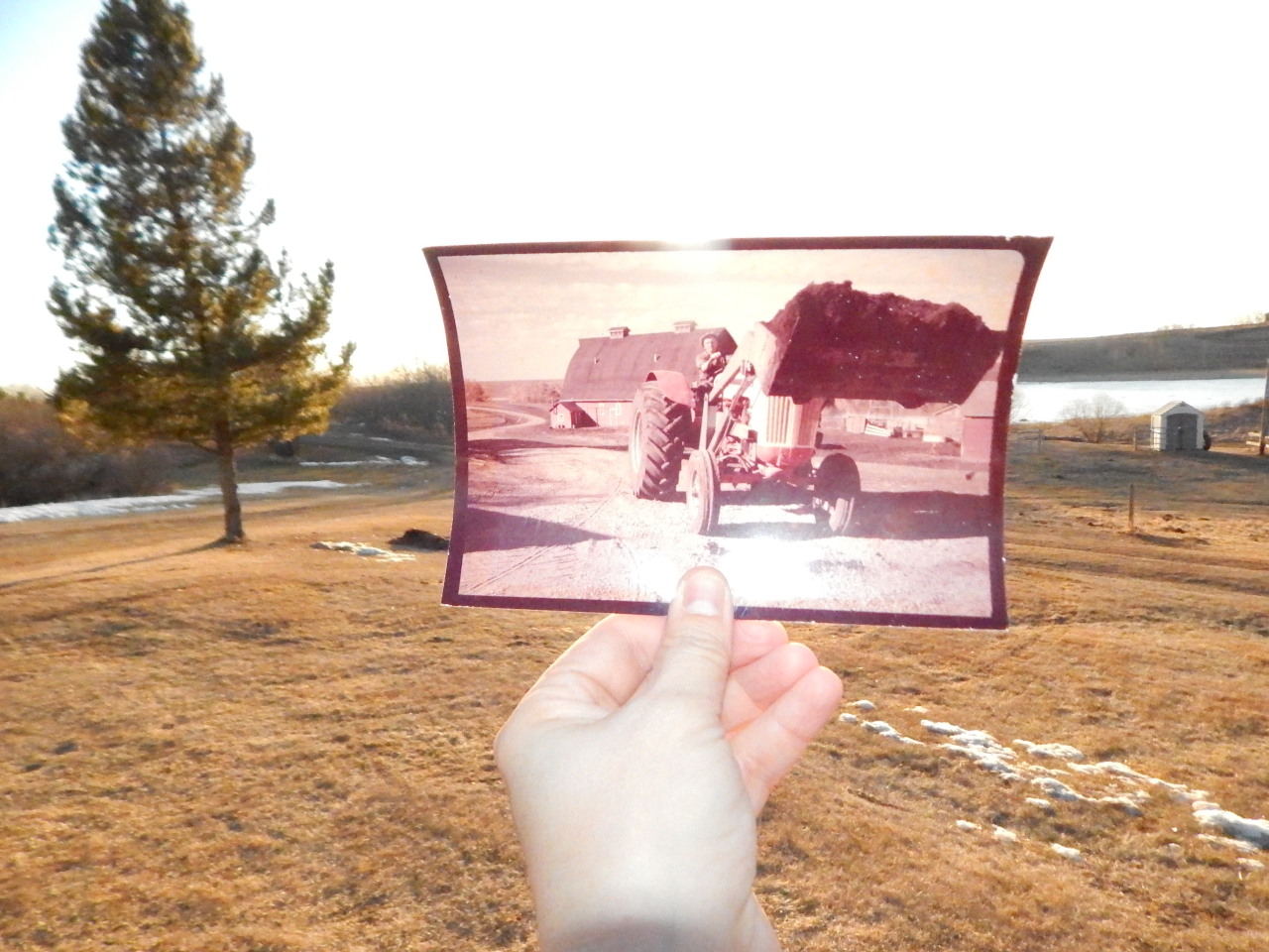 Dear Photograph,
The barn, the tractor and my grandfather Sam are gone now. But on this Alberta farm beside the lake, you can hear his footsteps along with my grandma, great-grandma, those of my late father and now, my dear aunt who’s joined them and...