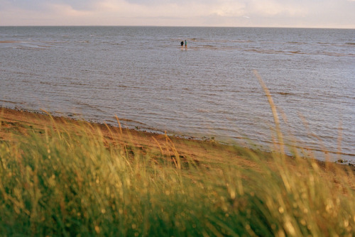 PEI, Summer 2017