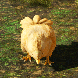 Baby Chocobo 