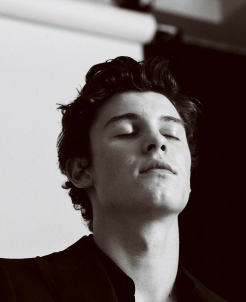 ifthisiswhatittakes: bangtanboysshawnmendes: ONE OF THE HOTTEST AND ATTRACTIVE MAN IN EARTH… 