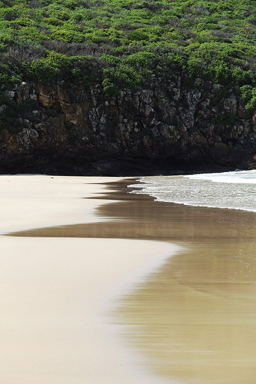 weapxn:  Killalea | NSW Taken by Me
