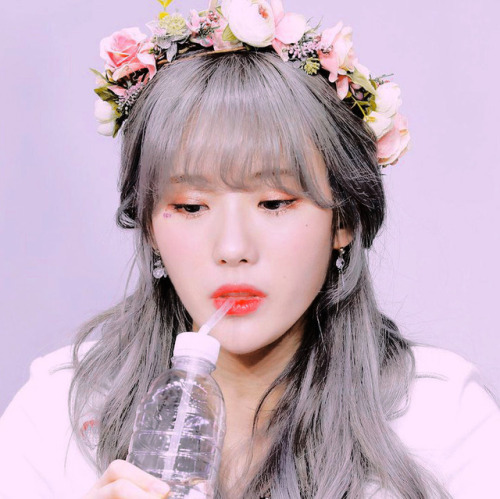  ❝  luda packs ❞ like or reblog or © favstro on twt ๑՞.request here !! 
