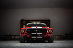 automotivated:  Mustang (by naranjopino)