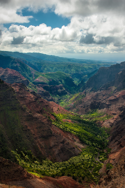 nordvarg:   Waimea Canyon \\ Evan Gearing  