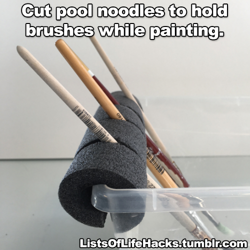 russalex: listsoflifehacks:  Pool Noodle Life Hacks  This post brought to you by