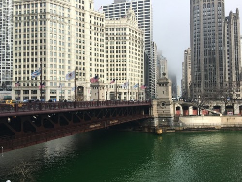 Chicago. St. Patrick’s Day.