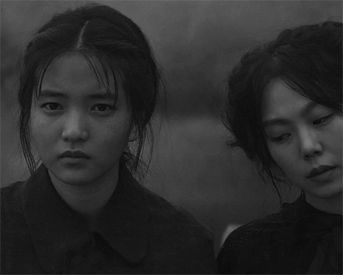 thegretagerwig:THE HANDMAIDEN (2016) dir. Park Chan-wook