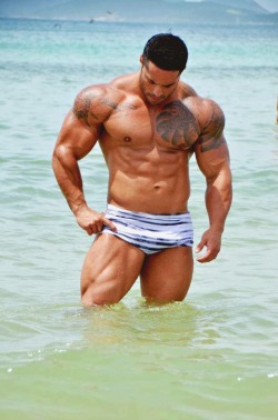 muscle-addicted:  Bruno Moraes Cunha 