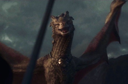 I Just Saw A Syrax Hate Post. Guy, Please. You Can Hate The Characters You Hate And Love The Characters