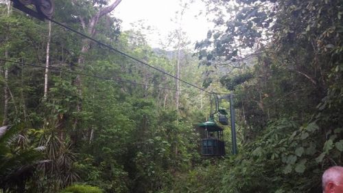 clubcabeza:  Costa Rica, jungle cable car ride via Amplification, Inc. 