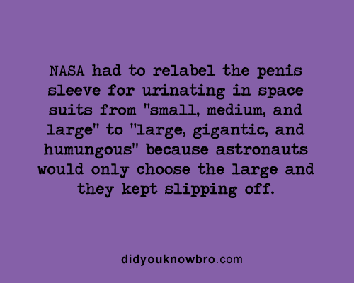 psychofactz:  Follow DidYouKnowBro.com For More Interesting Weird Fun Facts