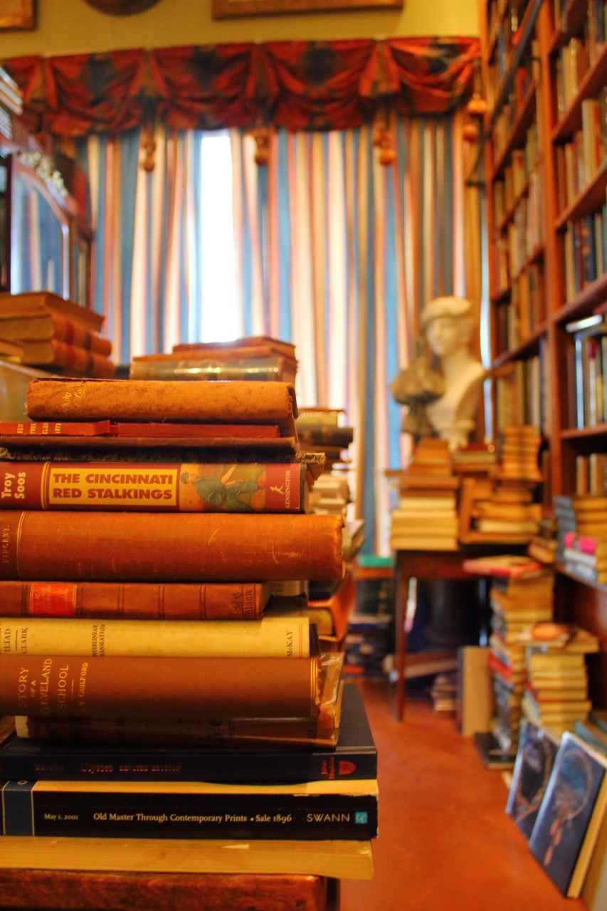Forever Lost in Literature