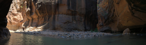 mysticplaces:  A panorama from my latest trip to The Narrows at Zion National Park, trying desperately not to drop my camera in waist-deep water.