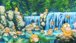 littlecofiegirl:  yijitumbles:   I got really bummed out that I couldn’t find a cute Psyduck wallpaper for my computer. Then I remembered I do art.   This is awesome. It looks like a screenshot from the cartoon!!! ♡♡♡♡♡ 