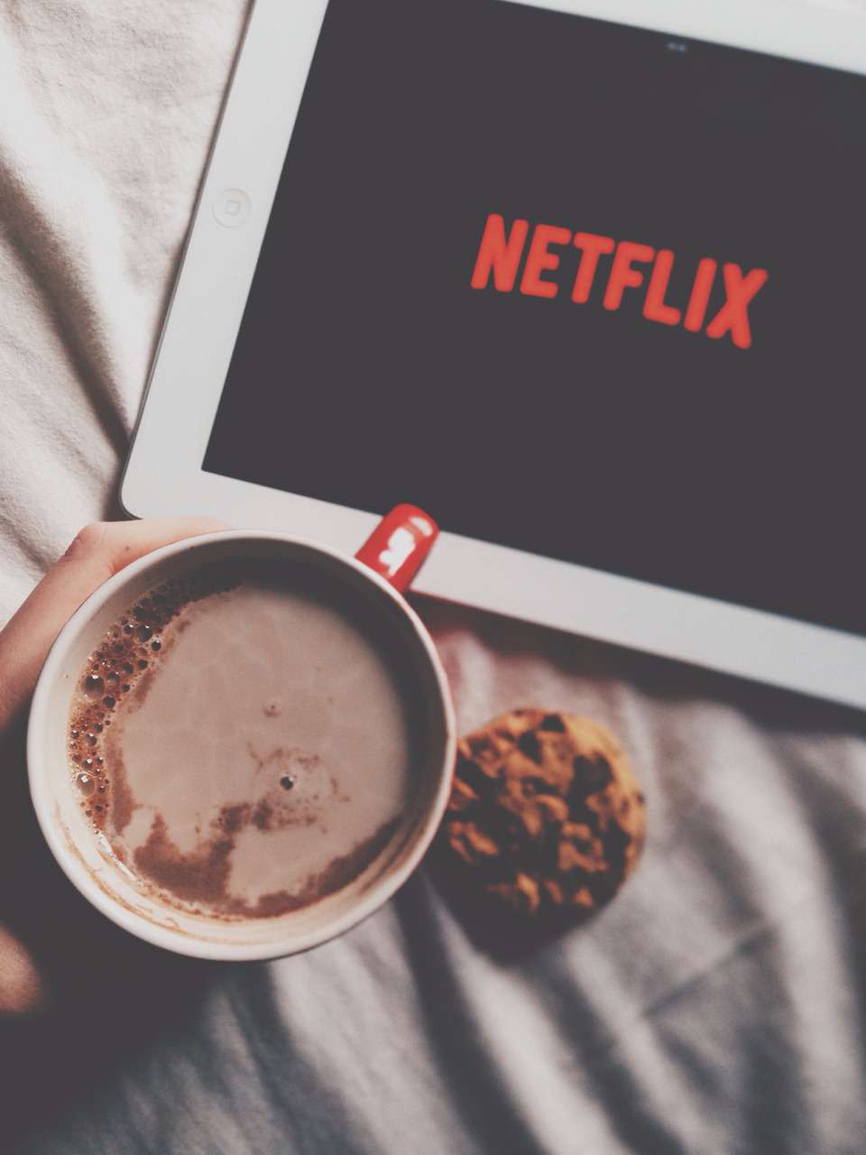 daisypetalsinmyhair:  hot chocolate, cookies &amp; netflix ♥