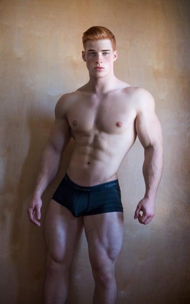 gingerguild: